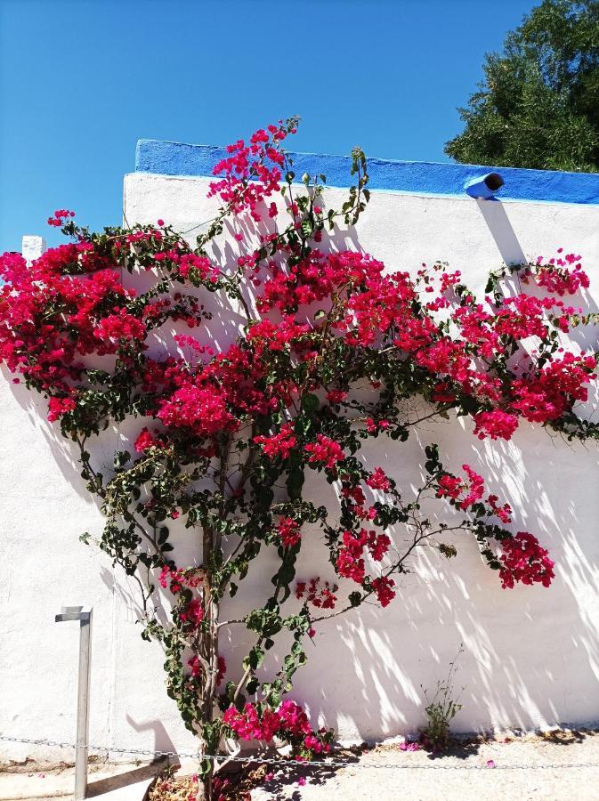 Bed and Breakfast Casa Kilmar Vejer de la Frontera Exteriér fotografie