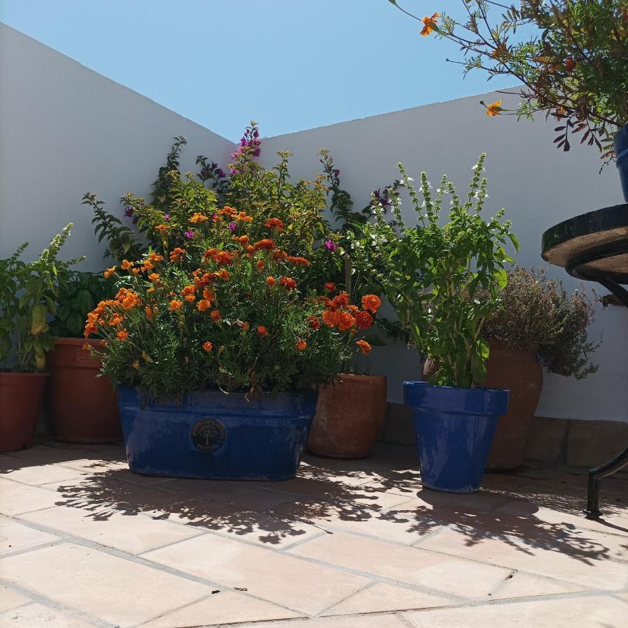 Bed and Breakfast Casa Kilmar Vejer de la Frontera Exteriér fotografie